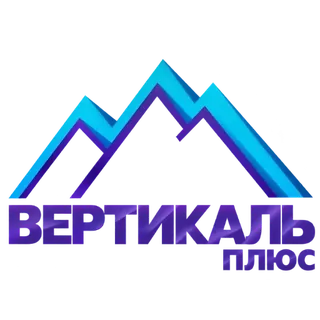 Логотип Вертикаль Плюс