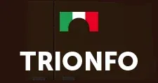 Логотип Оптовый поставщик комплектующих «Trionfo»
